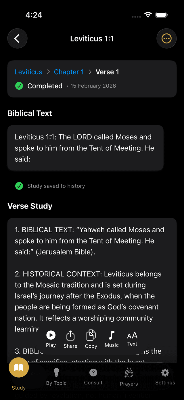Senda Católica Screenshot 4