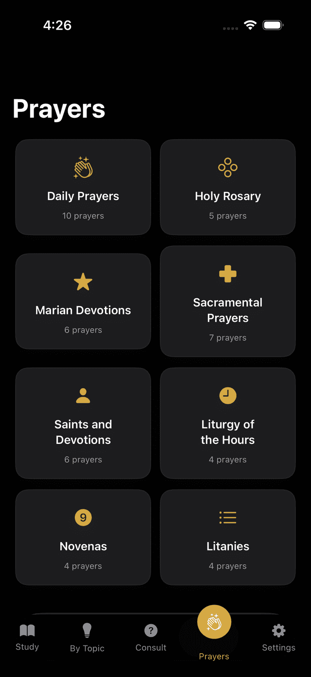 Senda Católica Screenshot 8